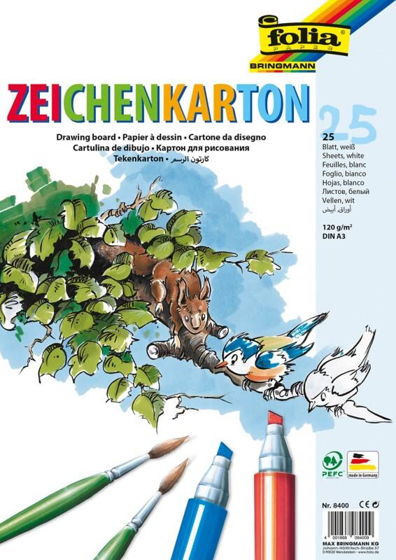 Folia Zeichenkarton Weiß Karton A3 120 g/m² 8400