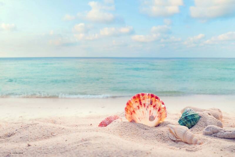 cover your desk Traumstrand Schreibunterlage Vinyl Mehrfarbig 40 x 60 cm