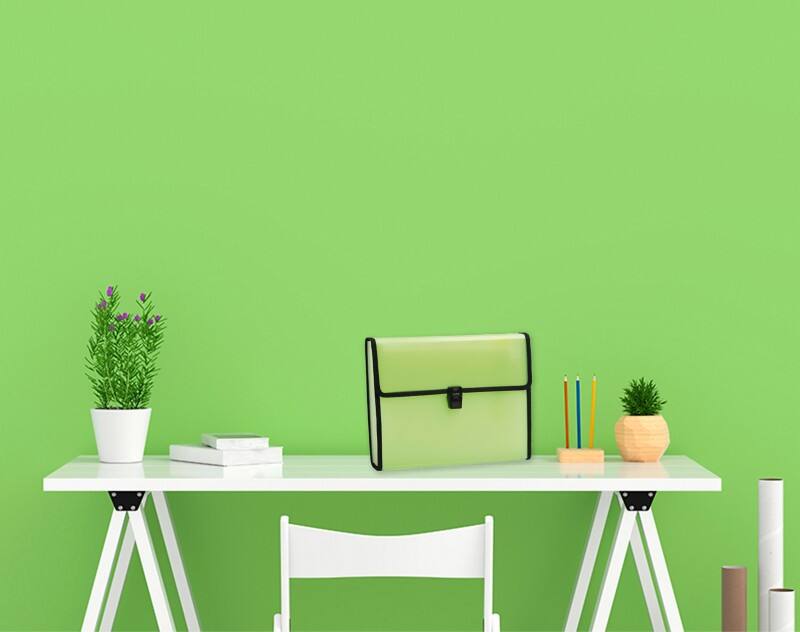 Exacompta Chromaline Fächermappe PP (Polypropylen) Farbig sortiert 55989E 5 Stück