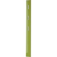 GERMANIA Garderobenständer 3255-184 3 Haken Hochglanz Wandhalterung 15 x 4 x 170 cm Grün