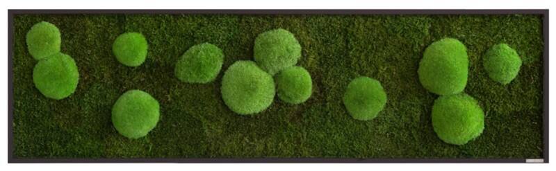 best of GREEN Mossbild 140 x 4 x 40 cm