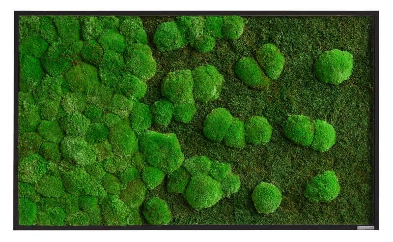 best of GREEN Mossbild 100 x 4 x 60 cm