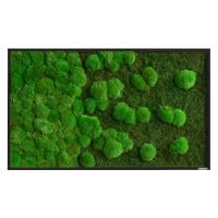best of GREEN Mossbild 100 x 4 x 60 cm