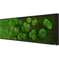 best of GREEN Mossbild 140 x 4 x 40 cm