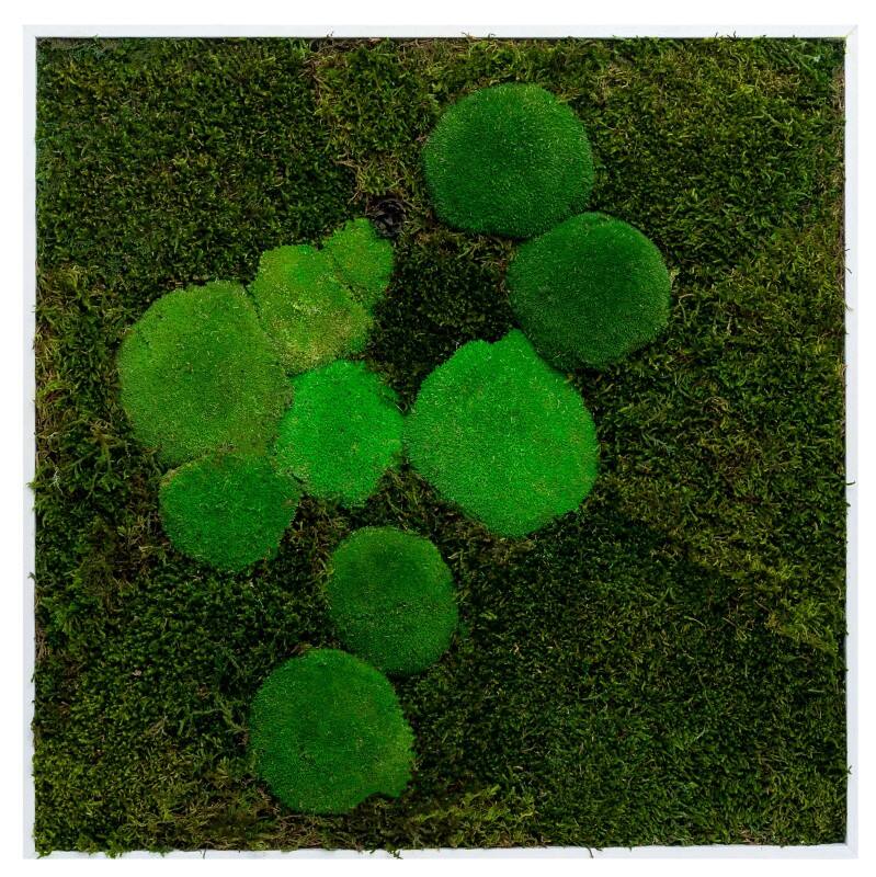 best of GREEN Mossbild 60 x 4 x 60 cm
