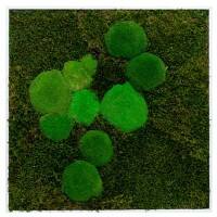 best of GREEN Mossbild 60 x 4 x 60 cm