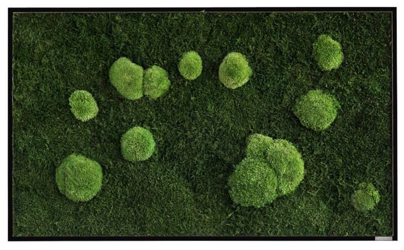 best of GREEN Mossbild 100 x 4 x 60 cm