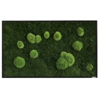 best of GREEN Mossbild 100 x 4 x 60 cm
