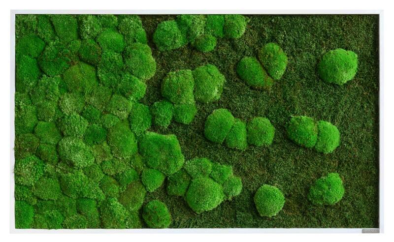 best of GREEN Mossbild 100 x 4 x 60 cm