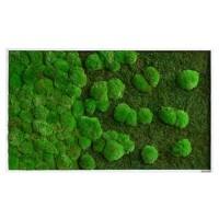 best of GREEN Mossbild 100 x 4 x 60 cm