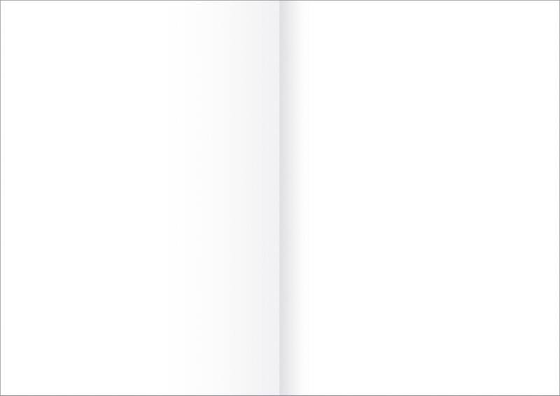 Ursus Staufen Style Zeichenpapier DIN A3 auf DIN A4 250 Blatt 80 g/m² Blanko Gefalzt 250 Stück