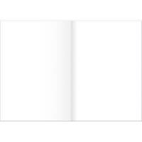 Ursus Staufen Style Zeichenpapier DIN A3 auf DIN A4 250 Blatt 80 g/m² Blanko Gefalzt 250 Stück