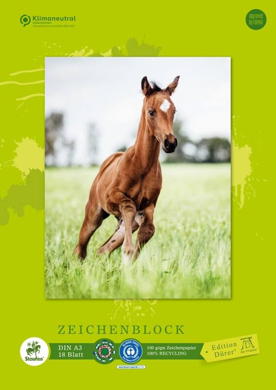 Staufen Dürer Green Zeichenblock DIN A3 18 Blatt 100 g/m² 4 Motive