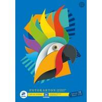 Staufen Dürer Green Fotokartonblock DIN A3 10 Blatt 300 g/m² 10 Farben Farbig sortiert