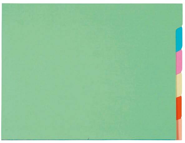 Exacompta Einstellmappe DIN A4 60 Stück