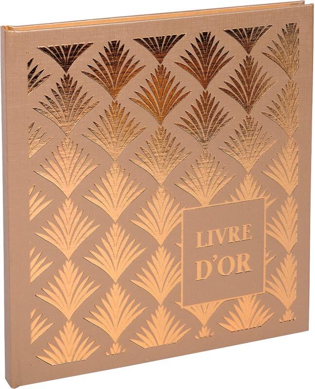 Exacompta Gästebuch Pappkarton, Papier Hellbraun 9522E 22 (B) x 20 (T) x 1,5 (H) cm 2 Stück