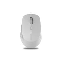 RAPOO Maus Kabellos 184340 Grau