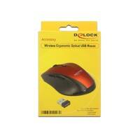 DELOCK Maus Kabellos 12493 Schwarz