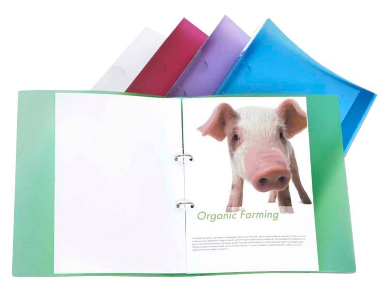 Rapesco 25 mm Ringbuch PP (Polypropylen) A4 2 Ringe Farbig sortiert 10 Stück