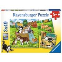 RAVENSBURGER Cats and Dogs Puzzle-Spiel Altersgruppe: 5+