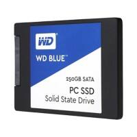 Western Digital Festplatte WDS250G1B0A SSD 250 GB