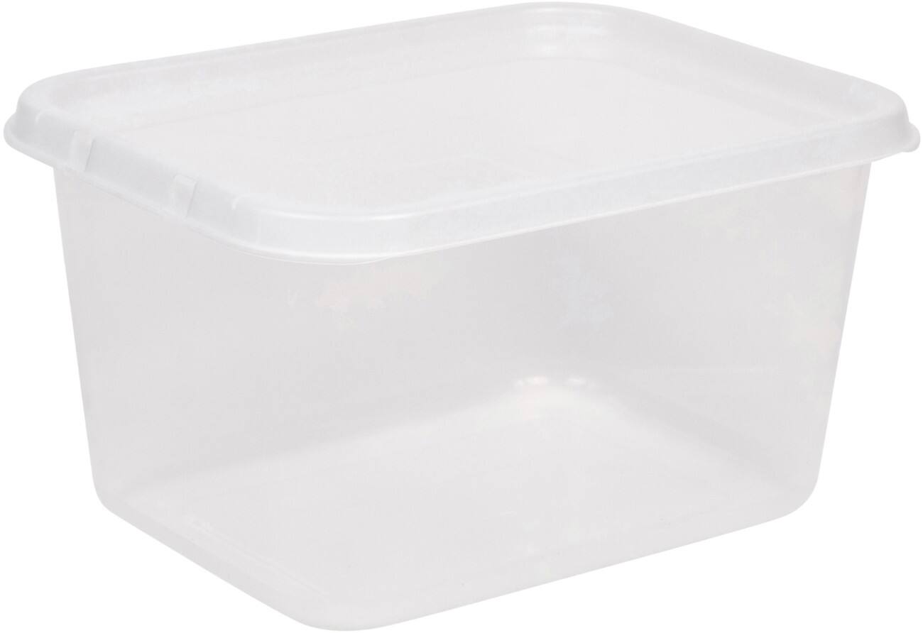 Viking Basic PP (Polypropylen) Aufbewahrungsbox 25 L Mit Deckel Transparent 25,5 x 46 x 35,5 cm