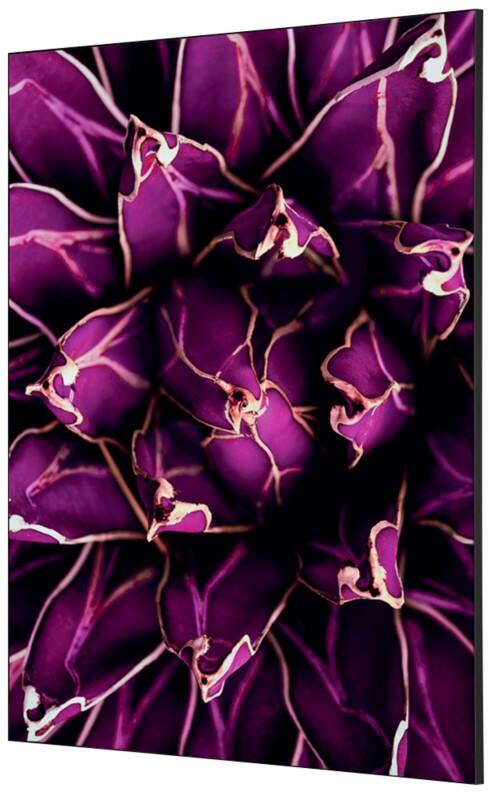 SHOWDOWN Textile Wanddekoration Kaktus Mehrfarbig Aluminium