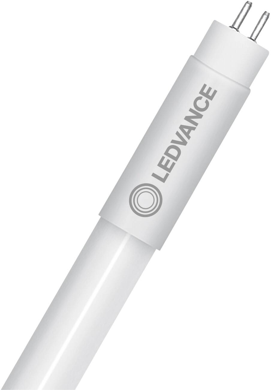LEDVANCE Glühbirne Perlglanz G5 16 W Warmweiß