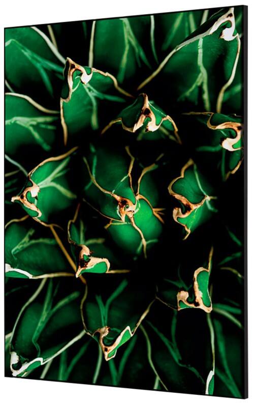 SHOWDOWN Textile Wanddekoration Kaktus Mehrfarbig Aluminium