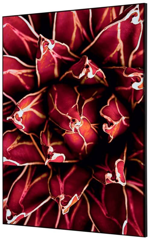 SHOWDOWN Textile Wanddekoration Kaktus Mehrfarbig Aluminium