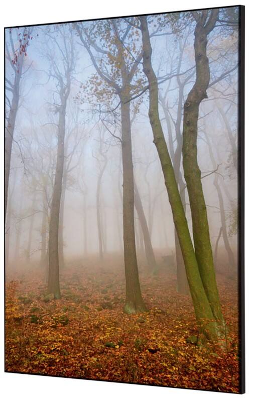 SHOWDOWN Textile Wanddekoration Herbstnebel Mehrfarbig Aluminium