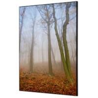 SHOWDOWN Textile Wanddekoration Herbstnebel Mehrfarbig Aluminium