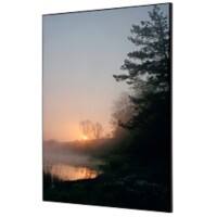 SHOWDOWN Textile Wanddekoration Wald Sonnenaufgang Mehrfarbig Aluminium