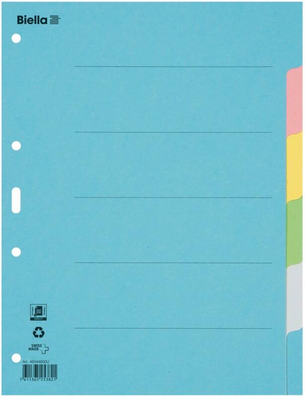 Biella Blanko Register DIN A4 Farbig Sortiert 6-teilig Pappkarton