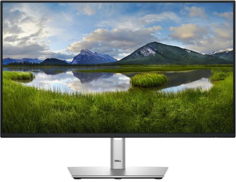 Dell P Series 61 cm (24&#034;) LCD Monitor P2425HE