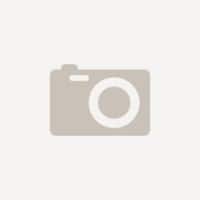 meet Schreibtischlampe LED Silber 475 x 170 x 530 mm