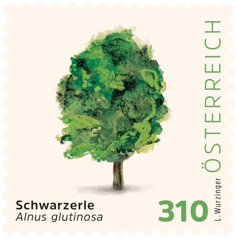 Post AG/Österreichische Post Schwarzerle Briefmarken 3.10 Selbstklebend 25 Stück