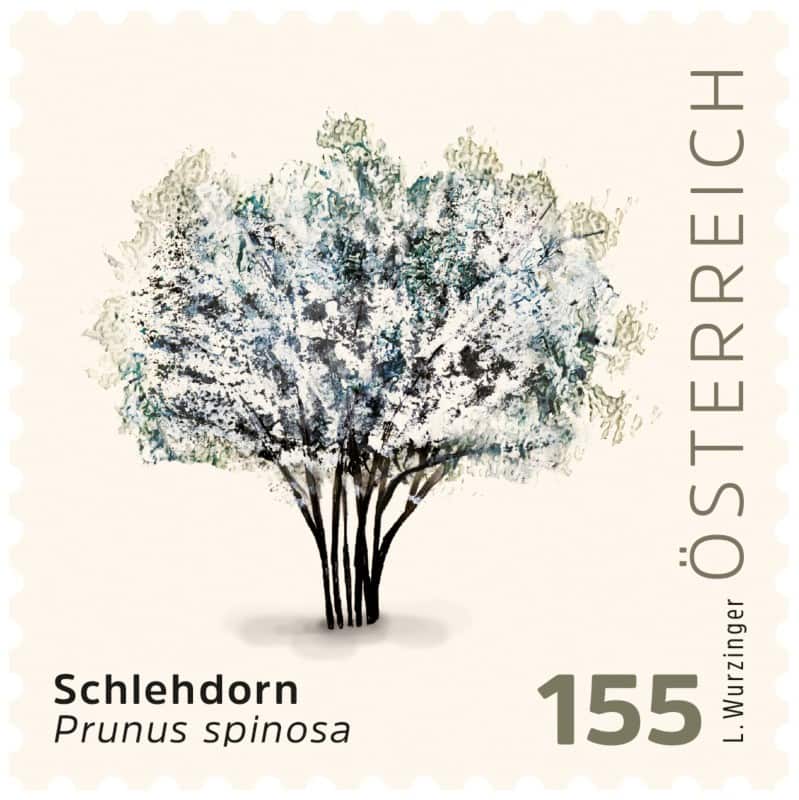 Post AG/Österreichische Post Schlehdorn Briefmarken 1.55 Selbstklebend 4 Stück