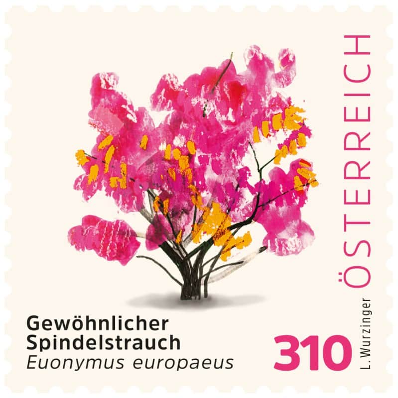 Post AG/Österreichische Post Gewöhnlicher Spindelstrauch Briefmarken 3.10 Selbstklebend 4 Stück