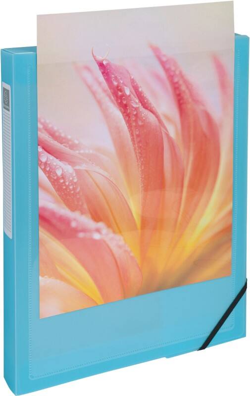 Exacompta Kreacover Pastel Archivbox 59279E A4 PP (Polypropylen) Gummiband 25 (B) x 4 (T) x 33 (H) cm Färbig sortiert 4,0 cm 5 Stück