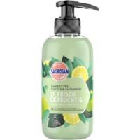 Sagrotan Seife Flüssig Green Tea Grün 3277369 300 ml
