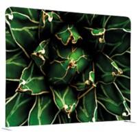 SHOWDOWN EU Raumteiler Aluminium Grün 1.500 x 450 x 1.500 mm