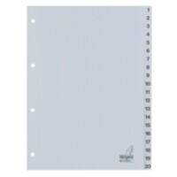 KANGARO 1 bis 20 Zahlenregister  A4 Grau 20-teilig PP (Polypropylene) 4 Löcher G420C