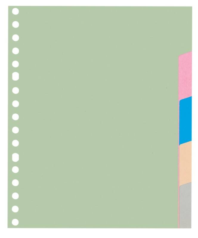 KANGARO Blanko Blanko Register  A5 Färbig sortiert 5-teilig 180 g/m² Pappkarton 17 Löcher P505M 5 Blatt