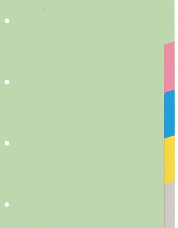 KANGARO Blanko Blanko Register  A4 Färbig sortiert 10-teilig 180 g/m² Pappkarton 4 Löcher PE405