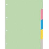 KANGARO Blanko Blanko Register  A4 Färbig sortiert 10-teilig 180 g/m² Pappkarton 4 Löcher PE405