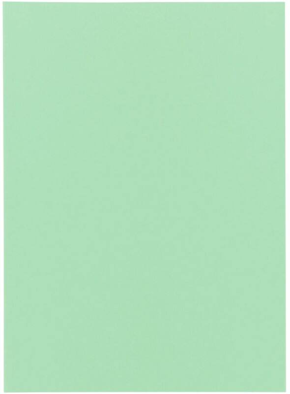 Exacompta Super Ordnungsmappe DIN A4 Grün Pappe 60 g/m² 250 Stück