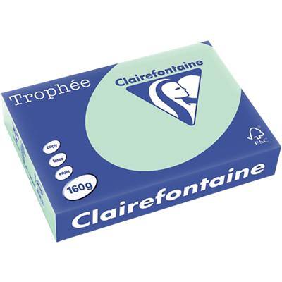 Clairefontaine DIN A4 Farbiges Papier Grün 160 g/m² Matt 250 Blatt