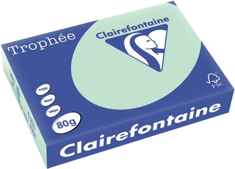 Clairefontaine DIN A4 Farbiges Papier Hellgrün 80 g/m² Matt 500 Blatt