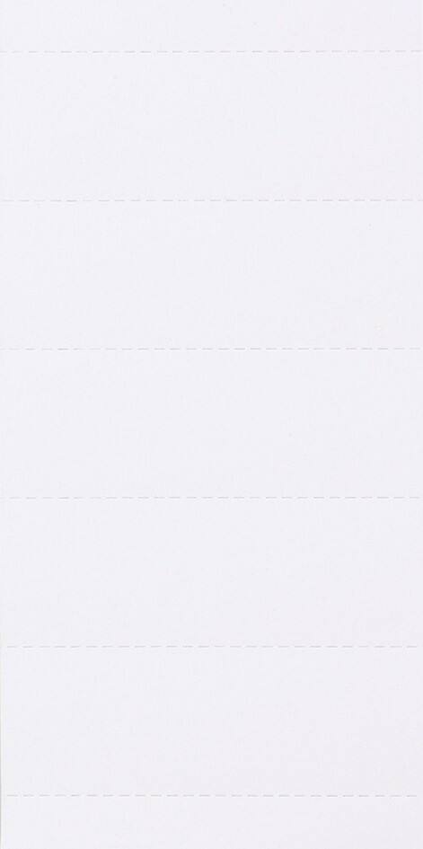 Beschriftungsschilder 1601 Weiß Karton 2,1 x 6 cm 100 Stück